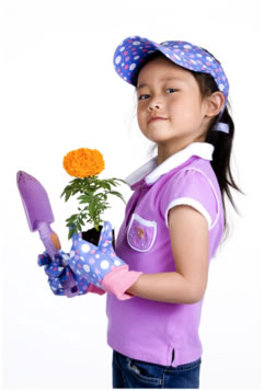 Girl with gardening tools and plant.